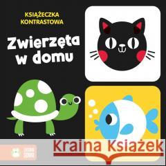 Książeczka kontrastowa. Zwierzęta w domu Natalia Berlik 9788382993707