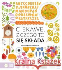 Ciekawe, z czego to się składa Magda Gargulakova, Federico Bonifacini 9788382994124