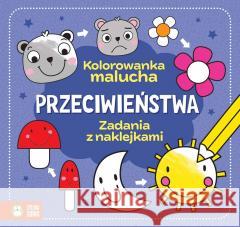 Kolorowanka malucha. Przeciwieństwa Agnieszka Matz 9788382994247