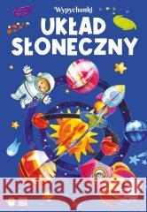 Wypychanki. Układ słoneczny Marcelina Grabowska-Piątek 9788382998153