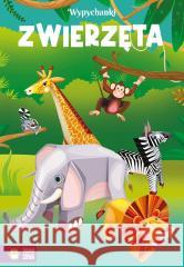 Wypychanki. Zwierzęta Marcelina Grabowska-Piątek 9788382998160