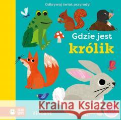 Gdzie jest królik Kay Vincent 9788382999112