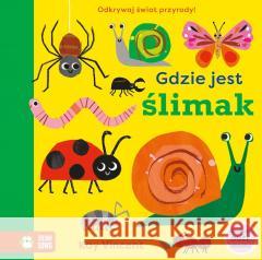 Gdzie jest ślimak Kay Vincent 9788382999129
