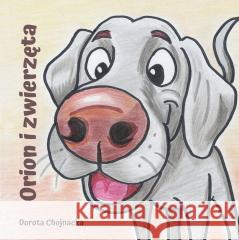 Orion i zwierzęta Dorota Chojnacka 9788383085203
