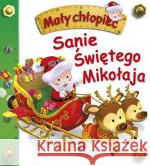 Sanie Świętego Mikołaja. Mały chłopiec Nathalie Belineau 9788383158075