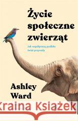 Życie społeczne zwierząt Ashley Ward 9788383198323