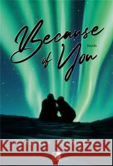 Because of You Izabella Nowaczyk 9788383204383