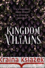 Kingdom of Villains Ella Fields 9788383213514