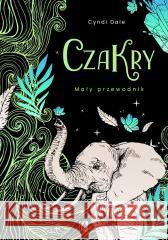 Czakry Mały przewodnik DALE CYNDI 9788383214788