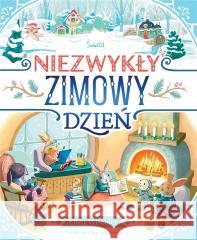 Niezwykły zimowy dzień Eliza Wheeler 9788383216300