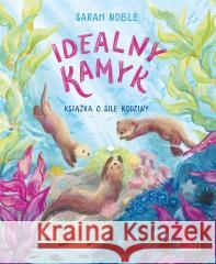 Idealny kamyk Książka o sile rodziny NOBLE SARAH 9788383217857