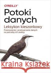 Potoki danych. Leksykon kieszonkowy James Densmore 9788383223384