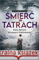 Wczasowiczka. Śmierć w Tatrach SALWIN EWA, KALINOWSKI GRZEGORZ 9788383295541
