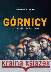 Górnicy. Opowieści spod ziemi Tadeusz Biedzki 9788383331874