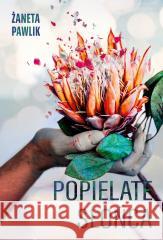 Popielate słońca Pawlik Żaneta 9788383356792