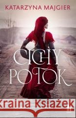 Cichy potok Katarzyna Majgier 9788383431239