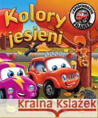 Kolory jesieni. Samochodzik Franek Karolina Górska, Wojciech Górski 9788383480848