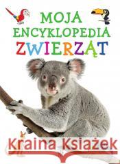 Moja encyklopedia zwierząt Natalia Kawałko 9788383481616