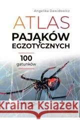 Atlas pająków egzotycznych. 100 gatunków Angelika Dawidowicz 9788383484389