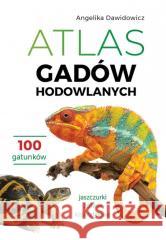 Atlas gadów hodowlanych Angelika Dawidowicz 9788383484631
