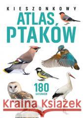 Kieszonkowy atlas ptaków. 180 gatunków Jan Król 9788383485171