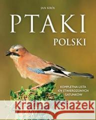 Ptaki Polski Jan Król 9788383486017