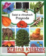 Świat w obrazkach. Przyroda Emilie Beaumont, Marie-Renee Guilloret, Marie-Chr 9788383503684