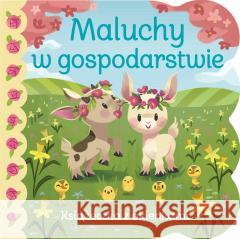 Książeczka z okienkami. Maluchy w gospodarstwie Ginger Swift 9788383507811