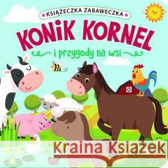 Konik Kornel i przygody na wsi Jul Łyskawa 9788383508689