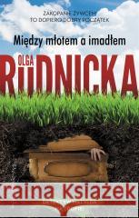 Między młotem a imadłem RUDNICKA OLGA 9788383520759