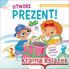 Otwórz prezent!. Zwierzęta, pojazdy, cuda świata i Luca de Leone, Paolo Mancini, Angelica Yaroshevich 9788383530819