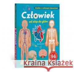 Człowiek od stóp do głów. Książka z ruchomymi el. David Hawcock 9788383532257