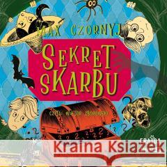 Sekret skarbu audiobook Max Czornyj 9788383571973