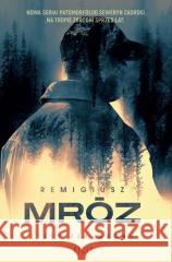 Listy zza grobu Remigiusz Mróz 9788383577012