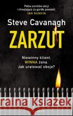 Zarzut Steve Cavanagh 9788383614519