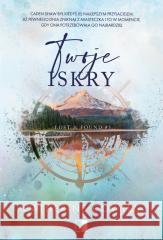 Lost & Found T.3 Twoje iskry Catherine Cowles 9788383629513