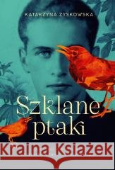 Szklane ptaki. Opowieść o miłościach Krzysztofa... Katarzyna Zyskowska 9788383676081