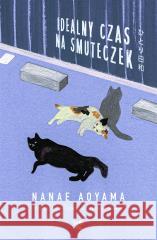 Idealny czas na smuteczek Nanae Aoyama, Barbara Słomka, Anna Płaskoń-Sokoło 9788383711119