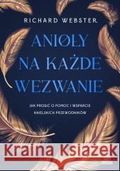 Anioły na każde wezwanie Richard Webster 9788383717906