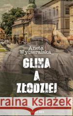 Glina a złodziej Aneta Wybieralska 9788383730172