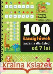 100 zadań - łamigłówki dla dzieci od 7 lat Bogusław Michalec 9788383741260