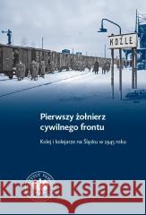 Pierwszy żołnierz cywilnego frontu Dawid Keller 9788383762227