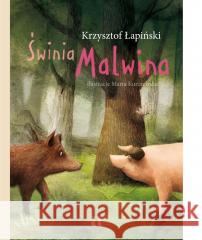 Świnia Malwina Krzysztof Łapiński 9788383800899