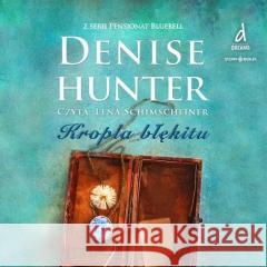 Pensjonat Bluebell T.2 Kropla błękitu Denise Hunter 9788383832500