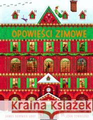 Opowieści zimowe John Townsend 9788383853819