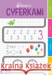 Pociąg z cyferkami Paweł Błoński 9788383880778