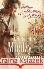 Między burzami Elżbieta Pytlarz 9788383911687