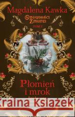 Płomień i mrok Magdalena Kawka 9788383913124