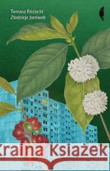 Złodzieje żarówek Tomasz Różycki 9788383960517