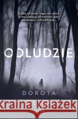 Odludzie Dorota Glica 9788384020128